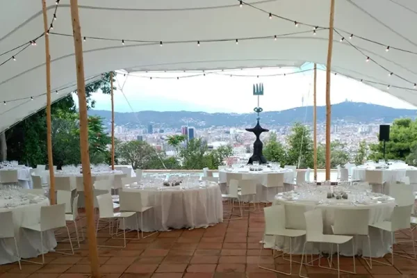 Fundació Joan Miró - Montjuic- (1)